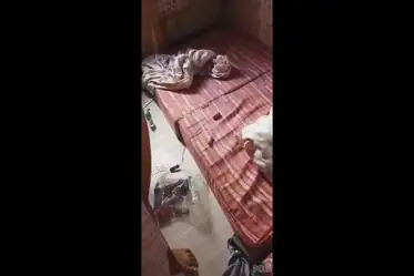 Adegan Mesum Di Dalam Kamar Pacar Cantik